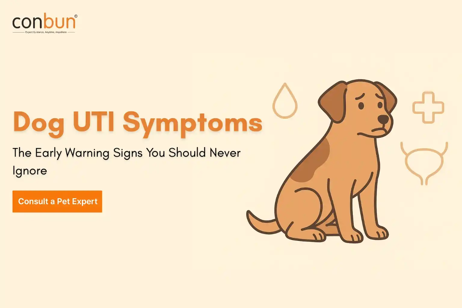 Dog UTI Symptoms: The Early Warning Signs You Should Never Ignore